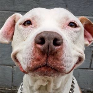 Meet your Posher, Shelly